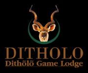 Ditholo Game Lodge logo
